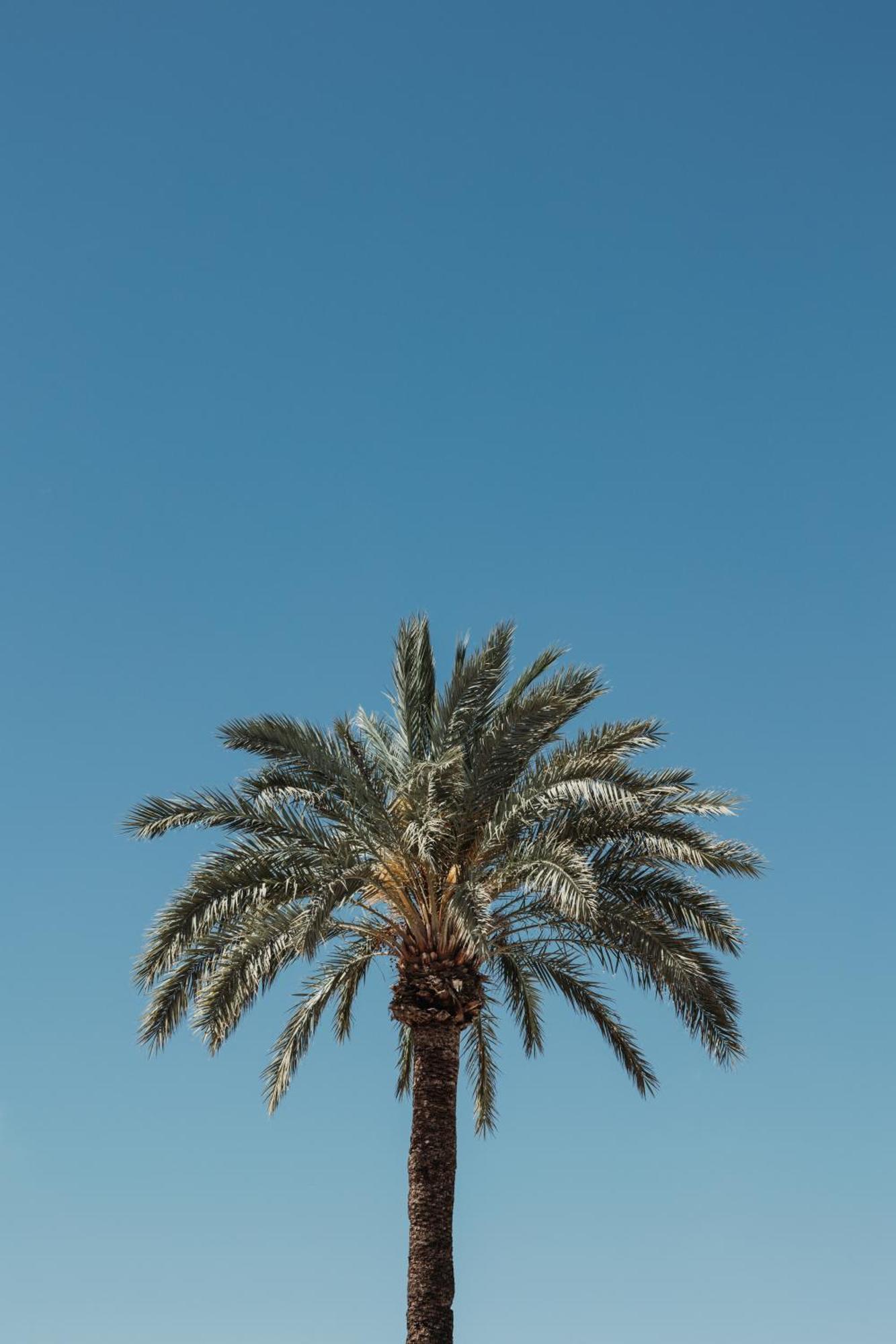 Bungalows Del Arenal Jávea Exteriör bild